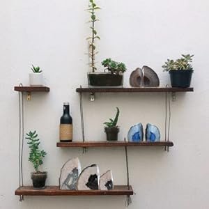 Bookends on shelves as decor with plants